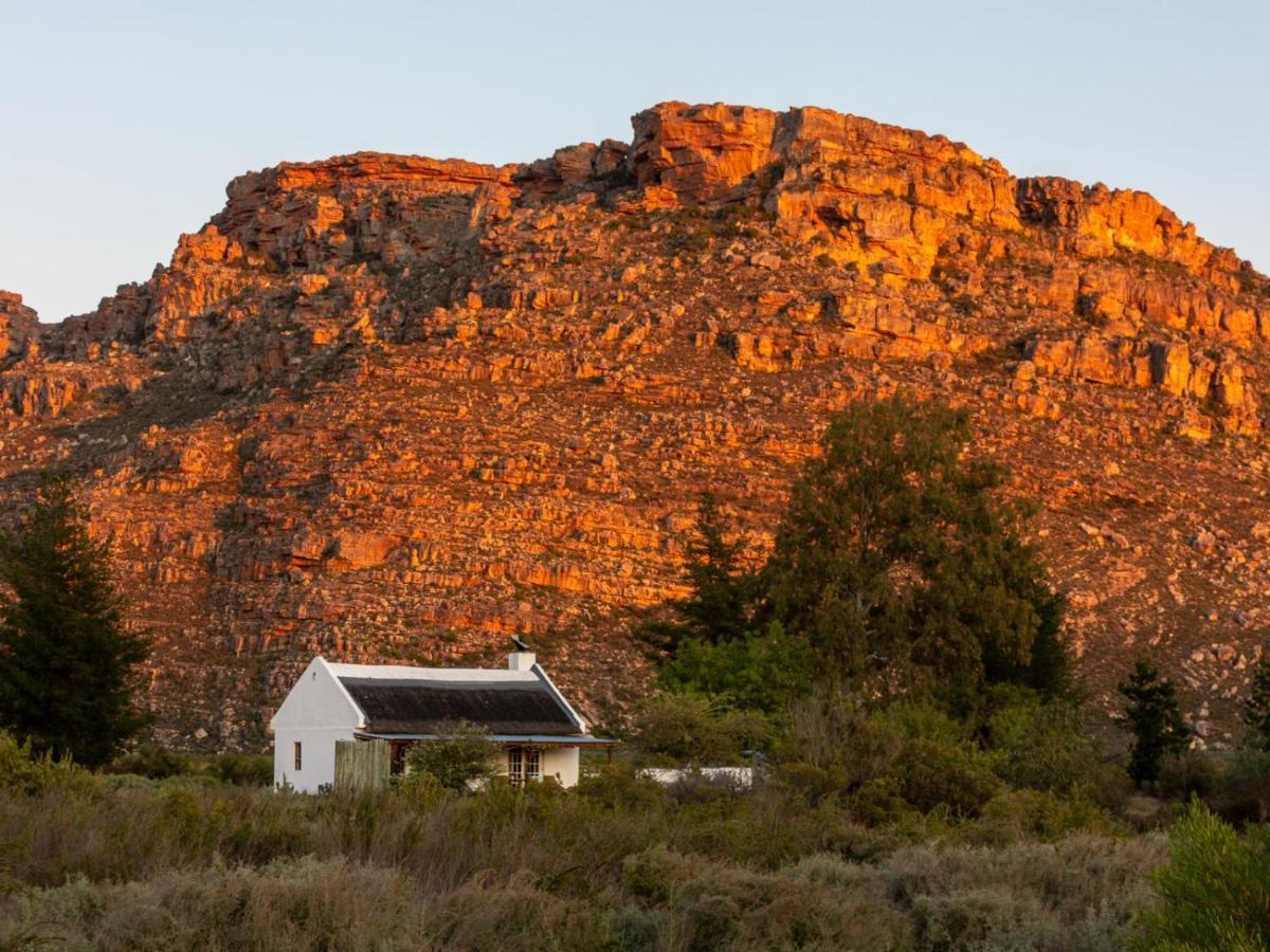 Alpha Excelsior Guest Farm Villa Clanwilliam Kültér fotó