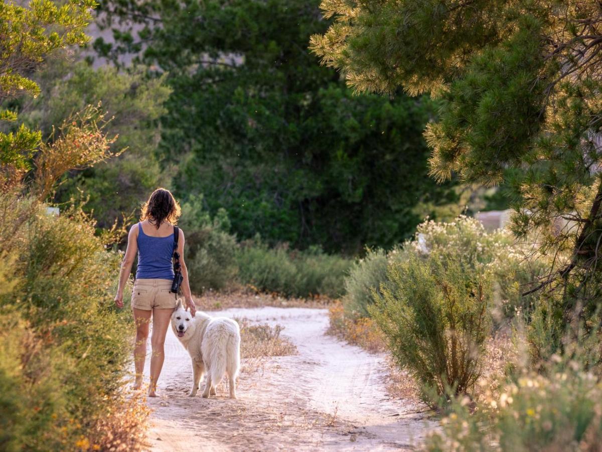 Alpha Excelsior Guest Farm Villa Clanwilliam Kültér fotó