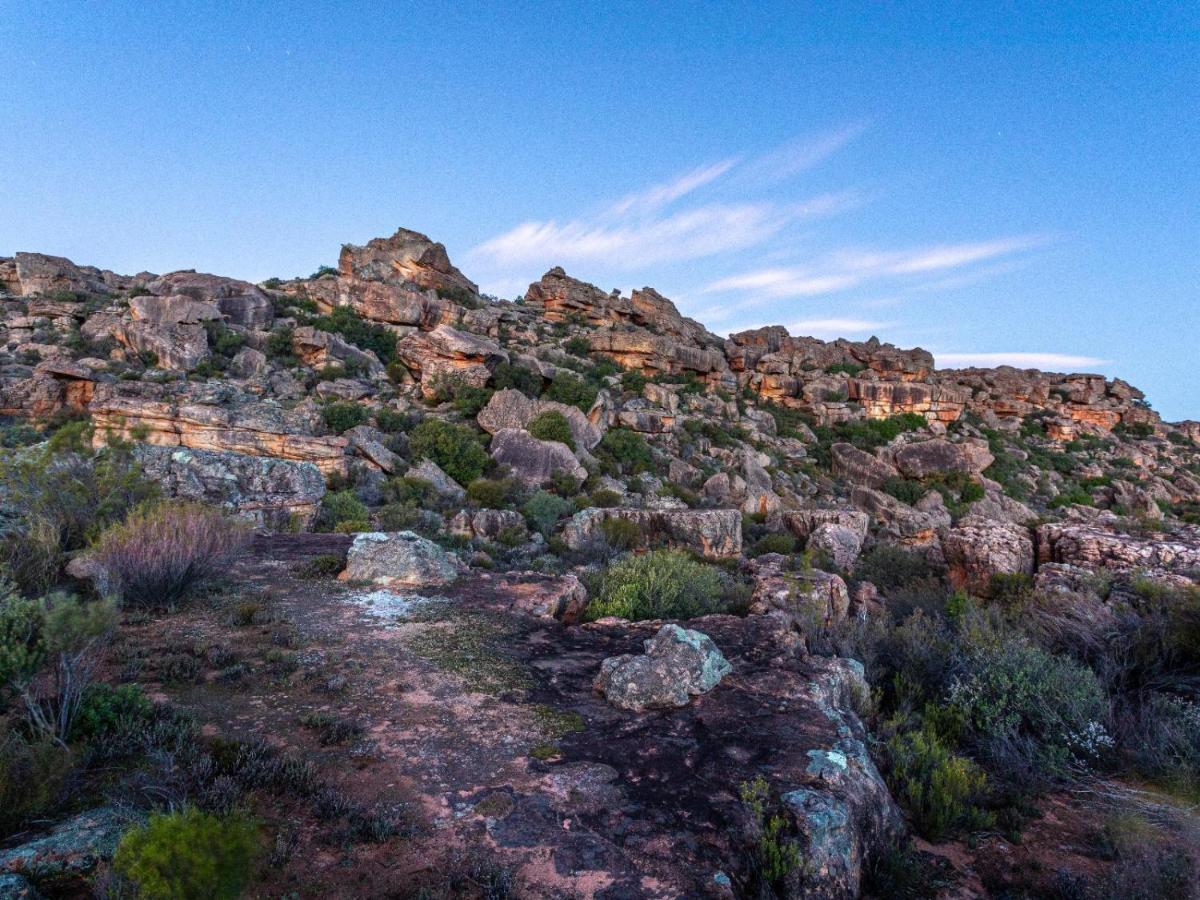 Alpha Excelsior Guest Farm Villa Clanwilliam Kültér fotó