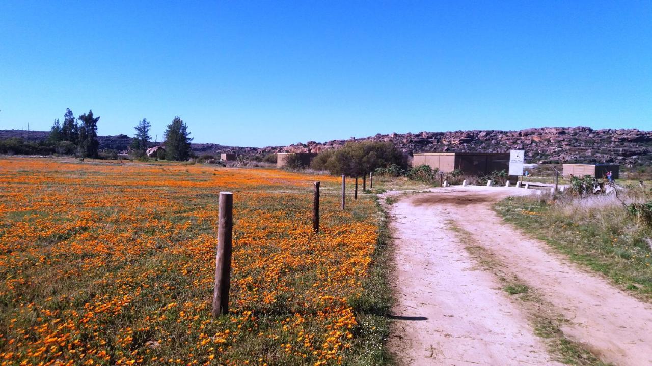 Alpha Excelsior Guest Farm Villa Clanwilliam Kültér fotó