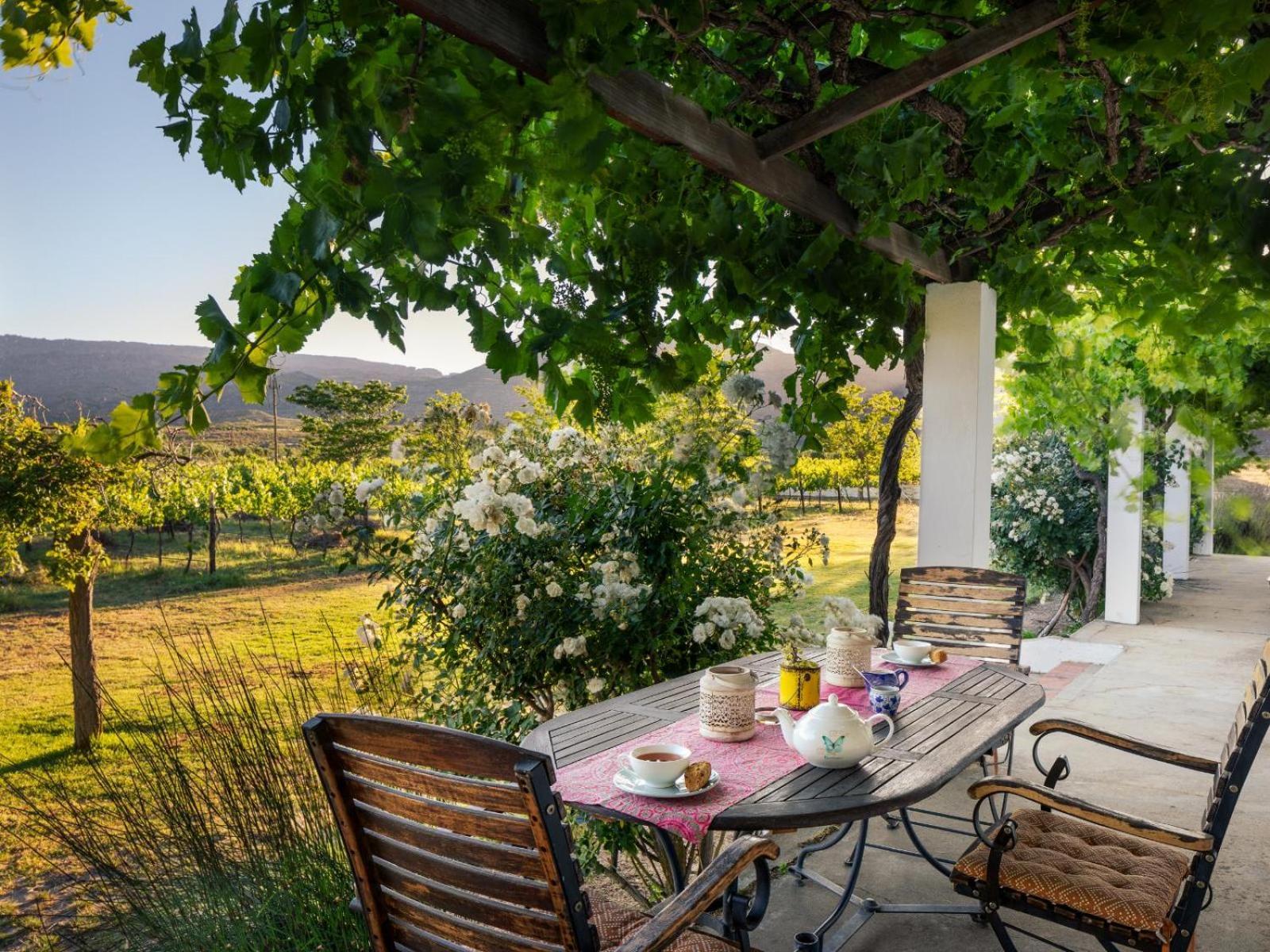 Alpha Excelsior Guest Farm Villa Clanwilliam Szoba fotó